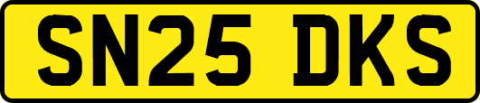 SN25DKS