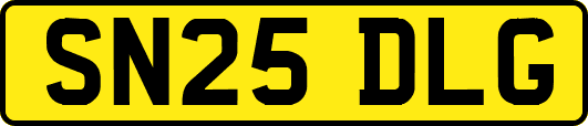 SN25DLG