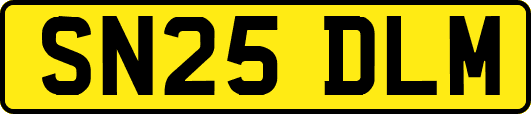 SN25DLM