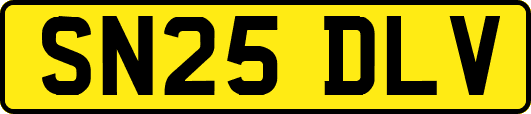 SN25DLV