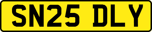 SN25DLY