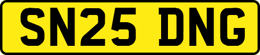 SN25DNG