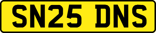 SN25DNS