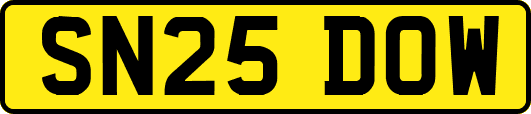 SN25DOW