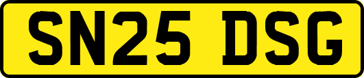 SN25DSG