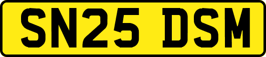 SN25DSM