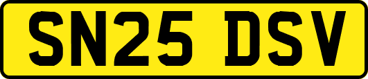 SN25DSV