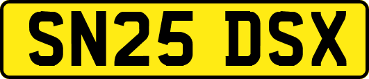 SN25DSX