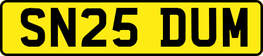 SN25DUM