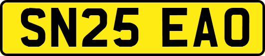 SN25EAO