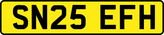SN25EFH