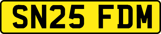 SN25FDM