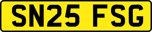 SN25FSG
