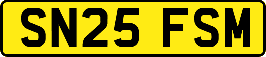 SN25FSM