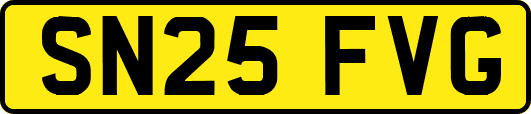 SN25FVG