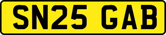 SN25GAB