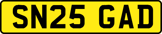 SN25GAD