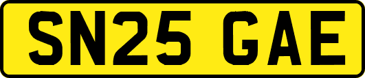 SN25GAE