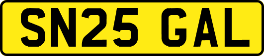 SN25GAL