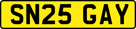 SN25GAY