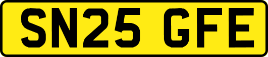 SN25GFE