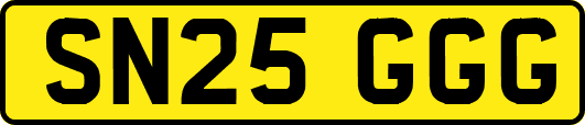 SN25GGG
