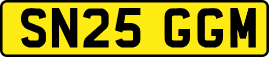 SN25GGM