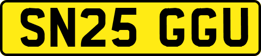 SN25GGU