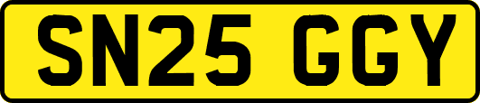 SN25GGY
