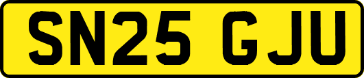 SN25GJU