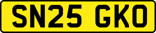 SN25GKO