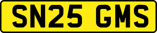 SN25GMS
