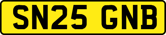 SN25GNB