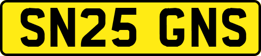 SN25GNS