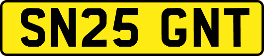 SN25GNT