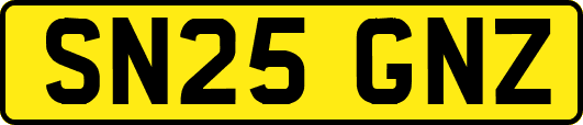 SN25GNZ