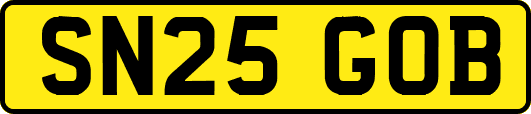 SN25GOB