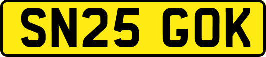 SN25GOK