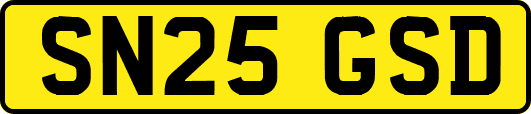 SN25GSD