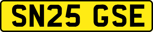 SN25GSE