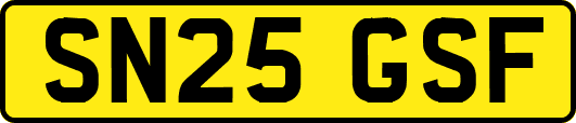 SN25GSF