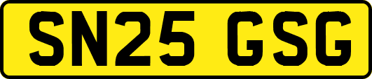 SN25GSG