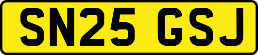 SN25GSJ