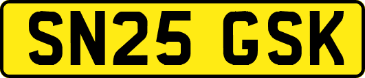 SN25GSK