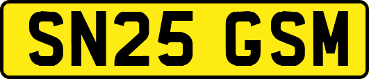 SN25GSM