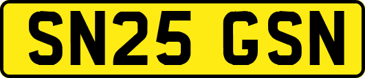 SN25GSN