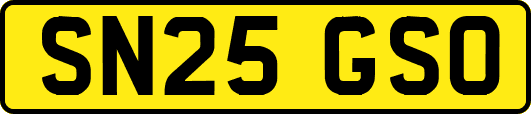 SN25GSO