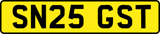 SN25GST