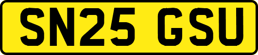 SN25GSU