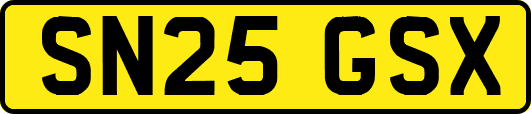SN25GSX